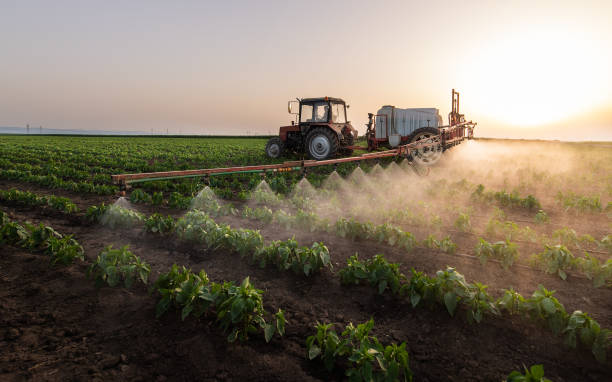 Best Best Pest Control Companies  in Benton, AR