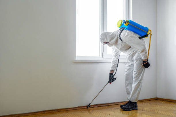 Best Bed Bug Extermination  in Benton, AR