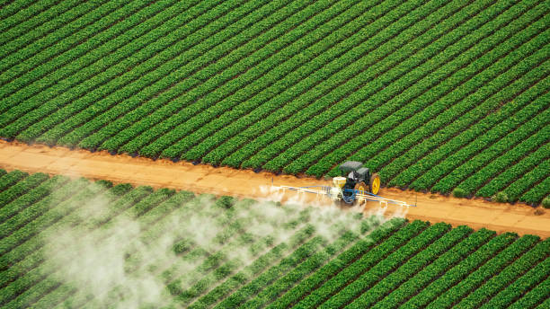 Best Insect Control  in Benton, AR