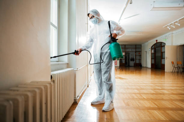 Best Pest Prevention Services  in Benton, AR