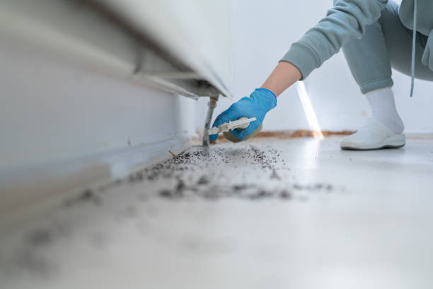 Reliable Benton, AR Pest Control Solutions